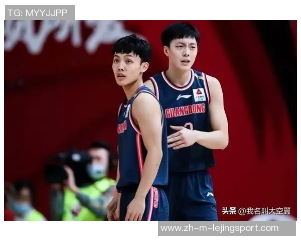 匈牙利与冰岛激战正酣比赛结果揭晓引发球迷热议